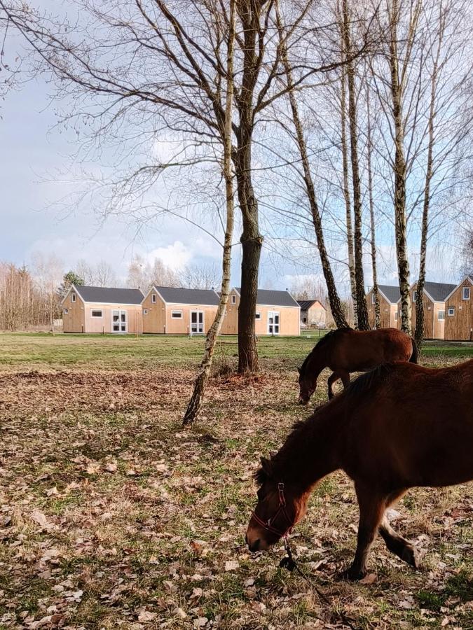 Zagajnik Country Camp Obok Suntago Villa Grabce-Towarzystwo Eksteriør bilde