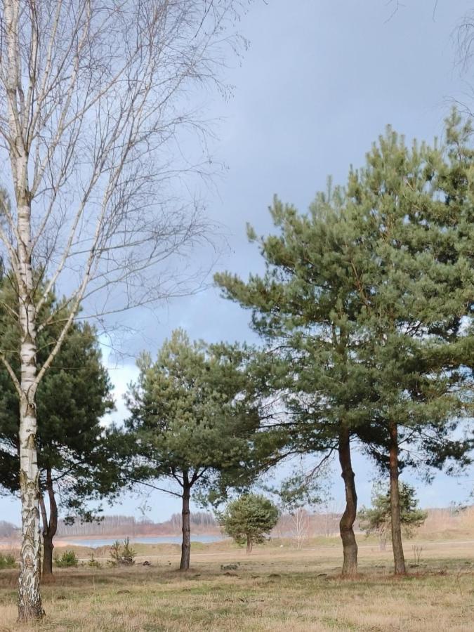 Zagajnik Country Camp Obok Suntago Villa Grabce-Towarzystwo Eksteriør bilde